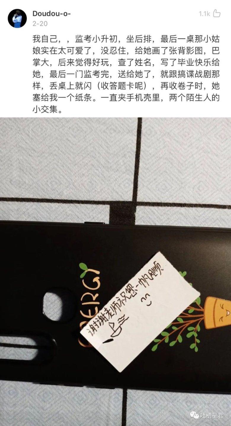 救援七星瓢虫