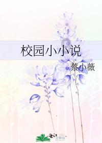 植物大战僵尸20