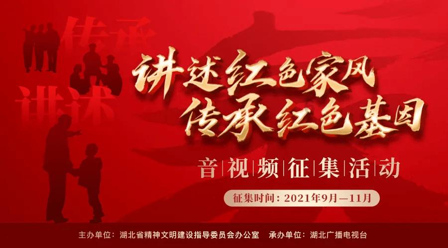 孤独的流浪者救援